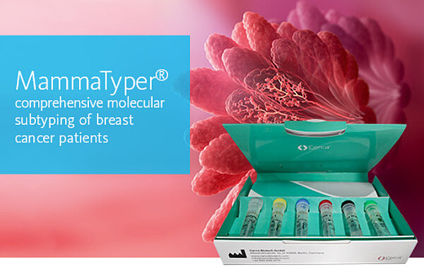 [.ES-es Spain (spanish)] MammaTyper® comprehensive molecular subtyping of breast cancer patients