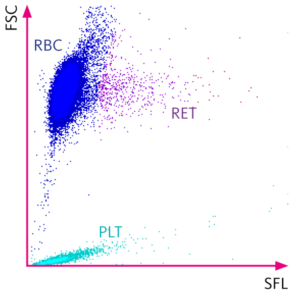 Sysmex Scattergram of the RET channel with a normal cell distribution