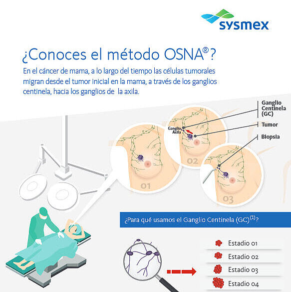 ¿Cuánto sabes sobre nuestros productos?