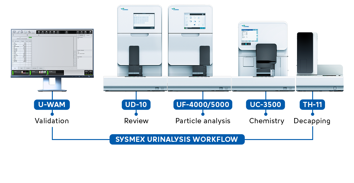 [.ES-pt Spain (portuguese)] Sysmex urinalysis workflow (fully automated)