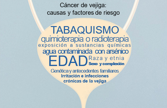 Lista de causas y factores de riesgo del cáncer de vejiga, entre los cuales los principales son el envejecimiento y el tabaquismo